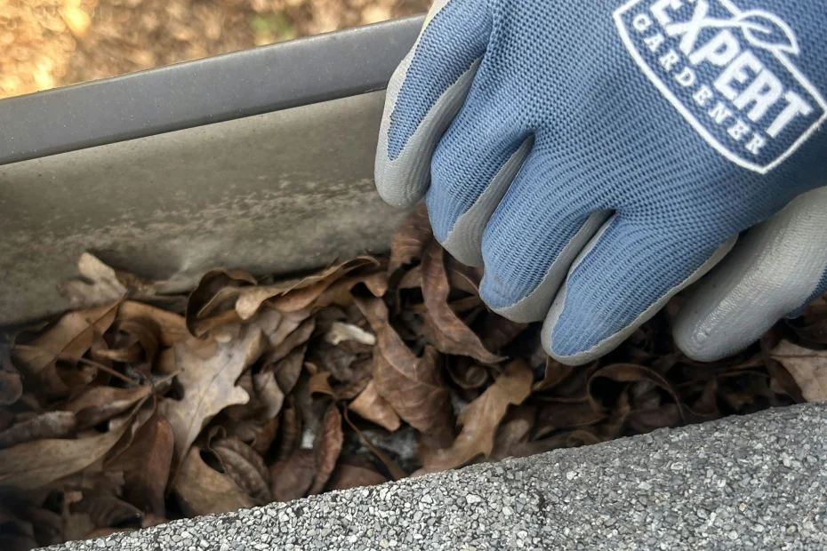 Gutter Cleaning Frisco TX