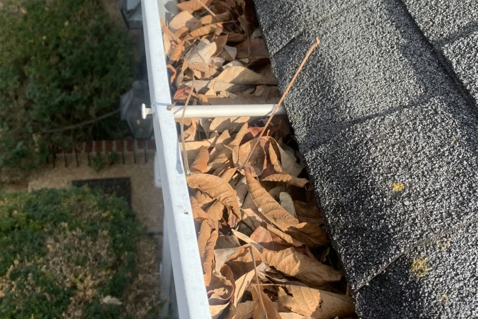 Gutter Cleaning Frisco TX