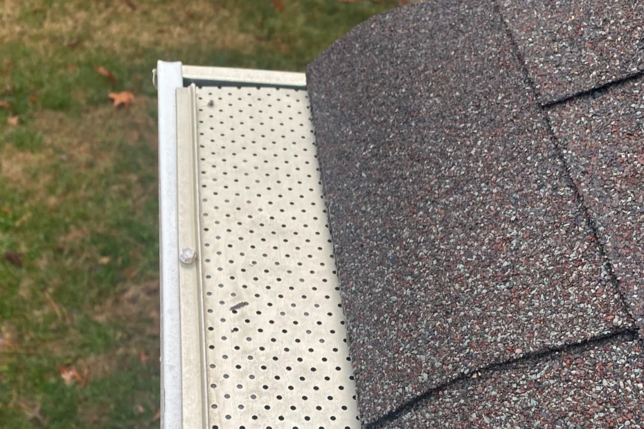 Gutter Cleaning Frisco TX