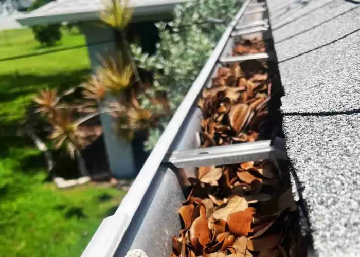 Gutter Cleaning Frisco TX home page